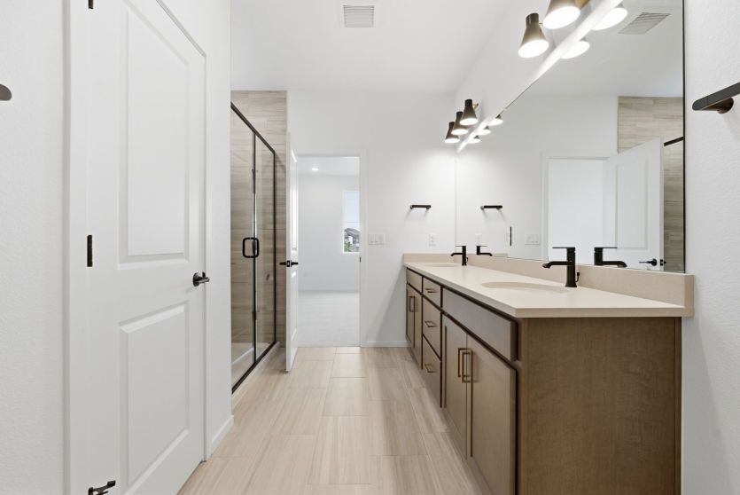 Owner's Bath