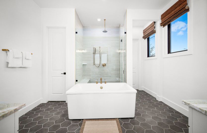 Model Representation - Primary Bathroom