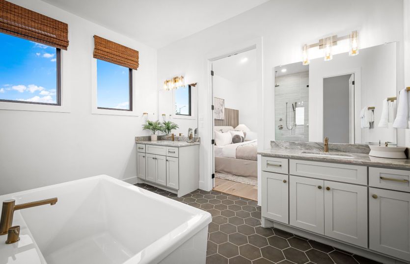 Model Representation - Primary Bathroom