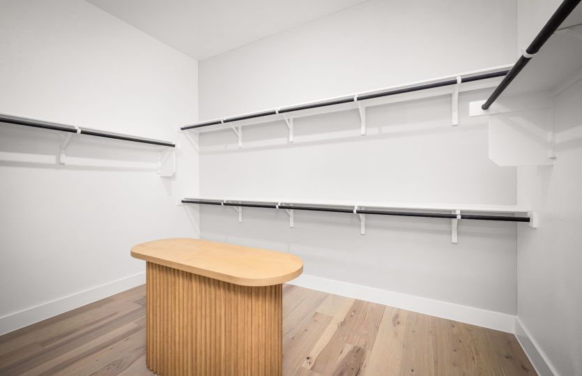 Model Representation - Primary Closet
