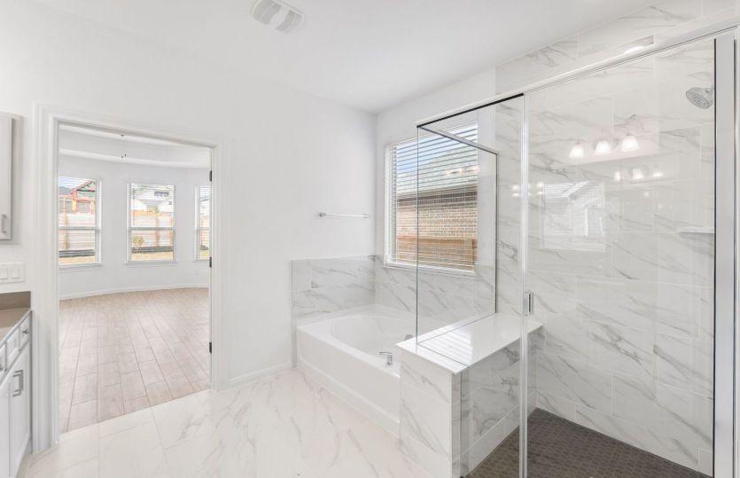 Representational Photo- Primary Bathroom