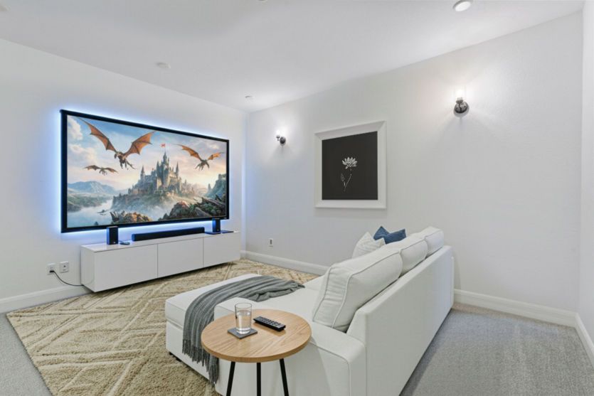 Representational Photo- Media Room
