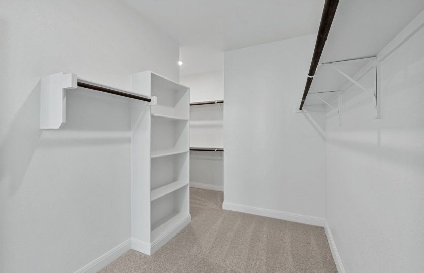 Representational Photo- Primary Closet