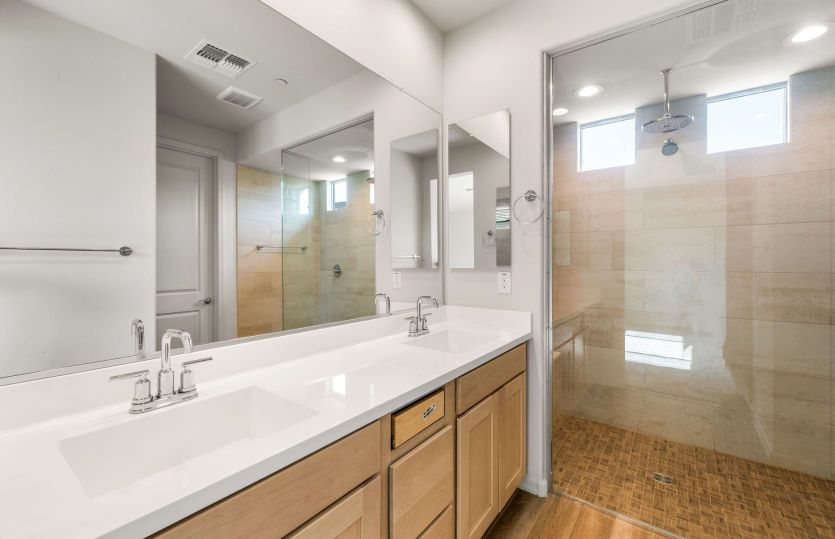 Owner's Bath