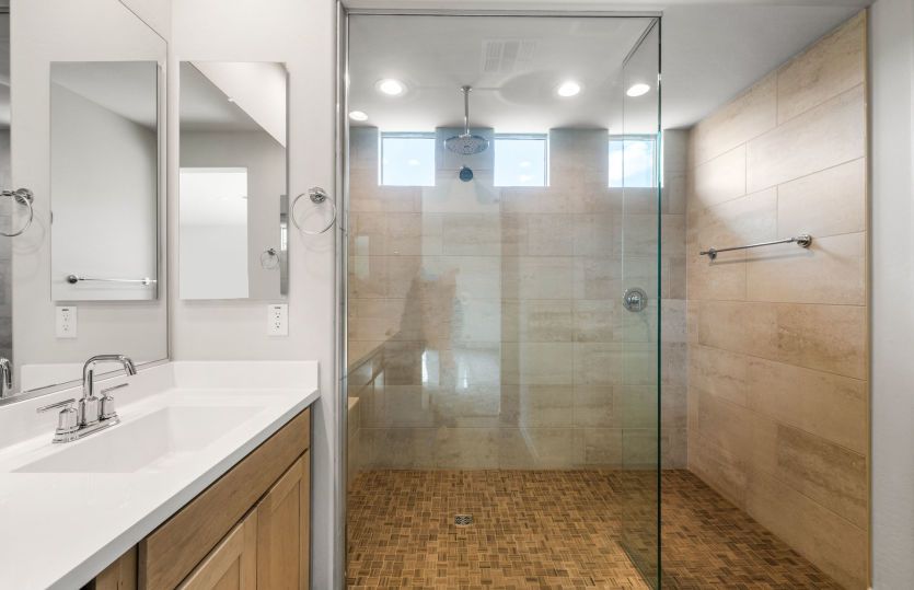 Owner's Bath