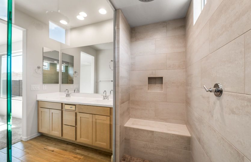 Owner's Bath