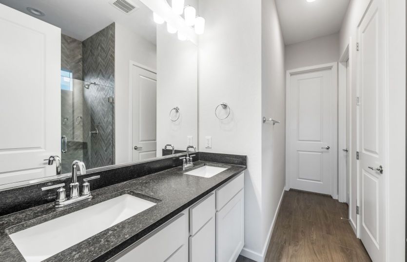 Owner's Bath