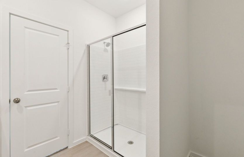 Primary Bathroom Walk-In Shower