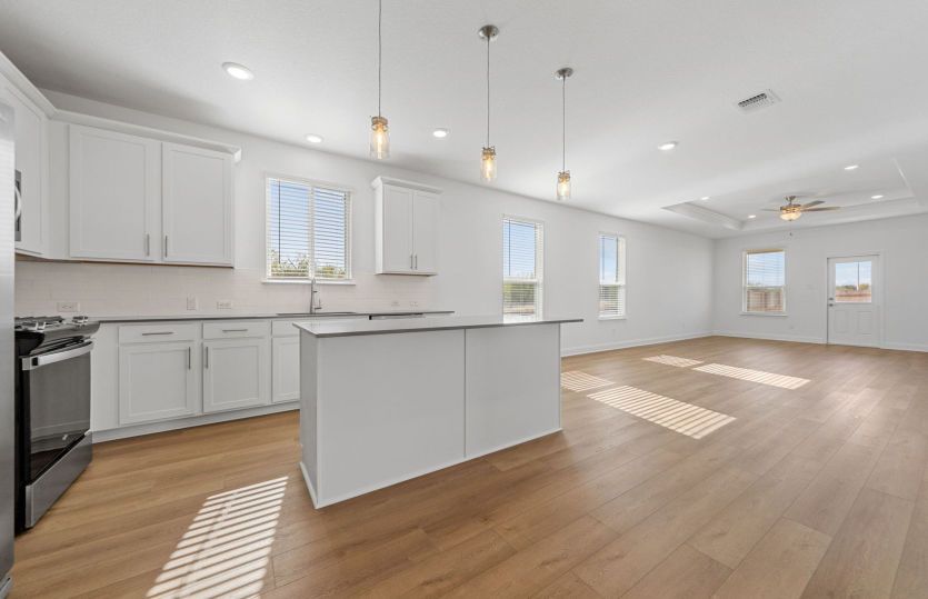 Representational Photo- Open Concept Layout