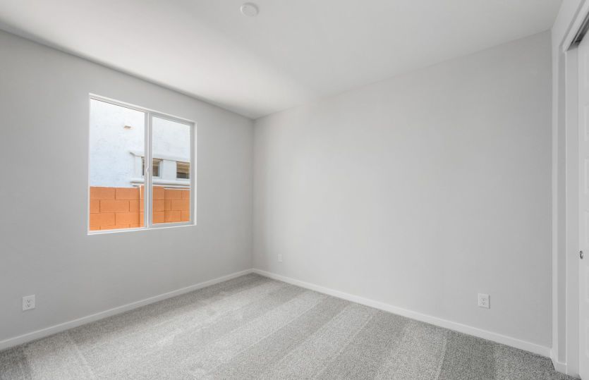 AllGen Suite