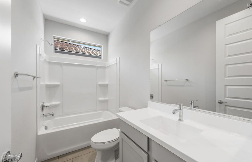 AllGen Suite