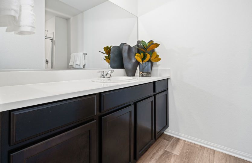 Owner's Bathroom