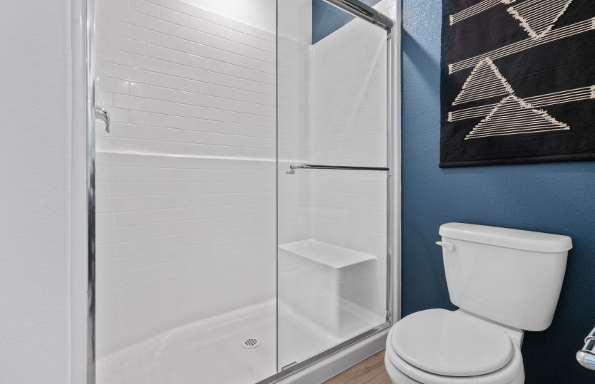 Owner's Bathroom
