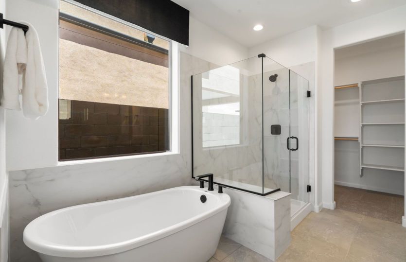 Owner's bath modeled with separate shower and tub for spa-like feel