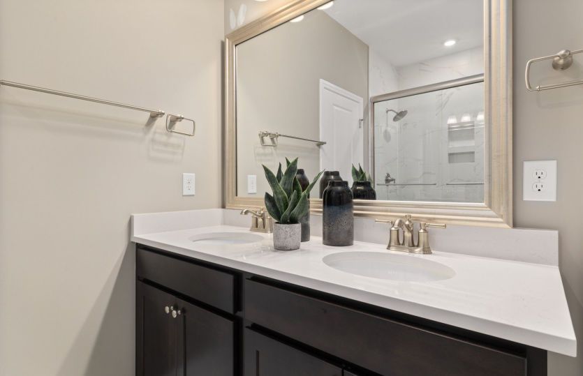 Owner's Bathroom. Model Representation.