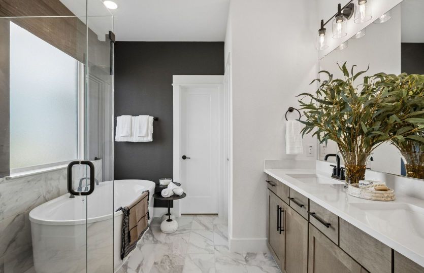 Owner's bath with freestanding tub