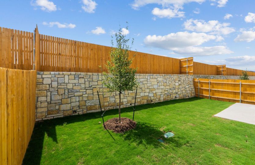 Backyard