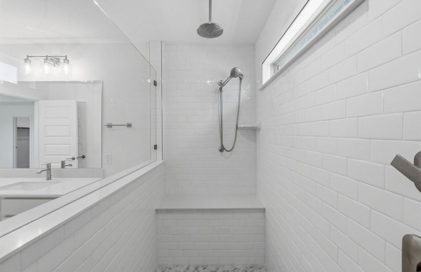 Primary Bathroom Walk-In Shower