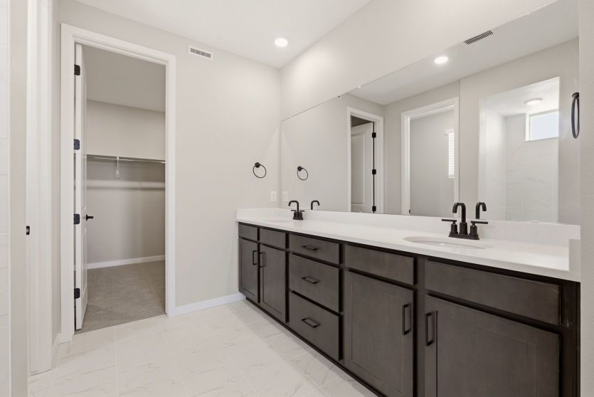Owner's Bath
