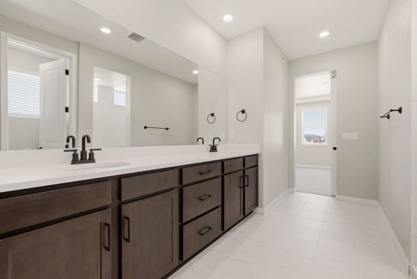 Owner's Bath