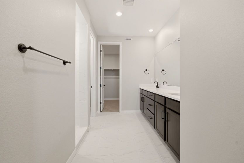 Owner's Bath