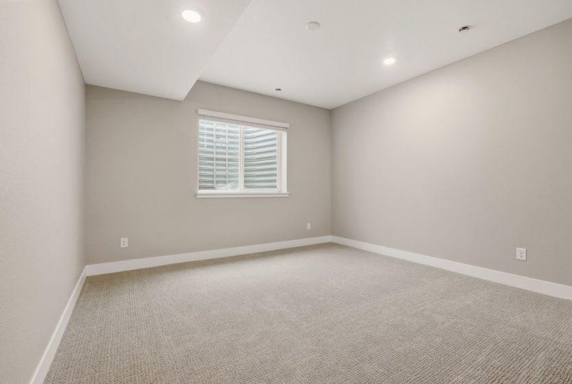 Basement Bedroom