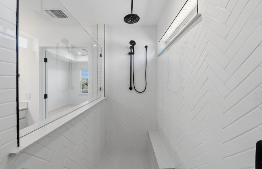 Primary Bathroom Walk-In Shower