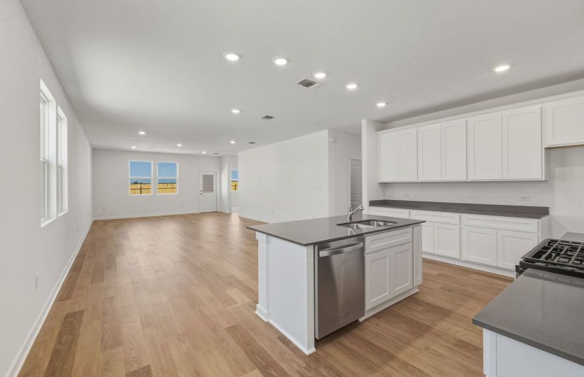 Representational Photo- Open Concept Layout