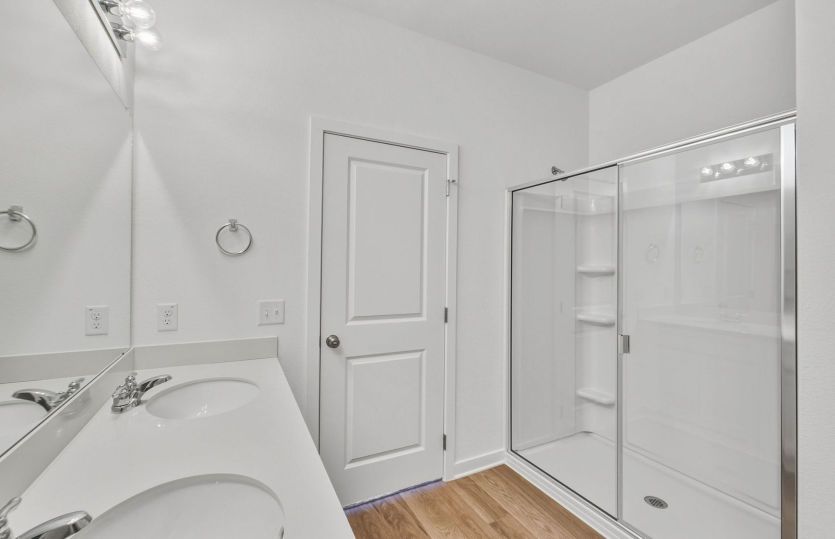 Representational Photo- Primary Bathroom