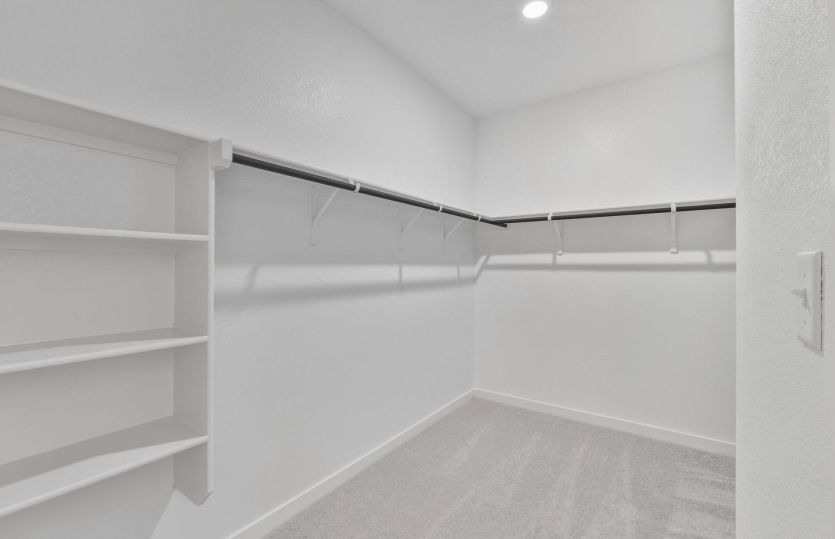 Representational Photo- Primary Closet