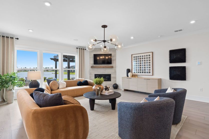 Living Room and Fireplace