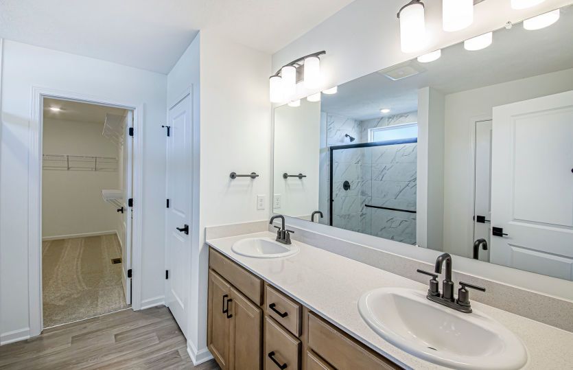 Owner's Bath