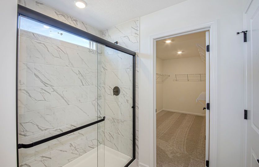 Owner's Bath