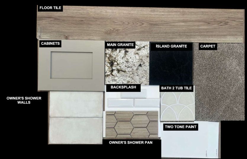 Interior Color Scheme