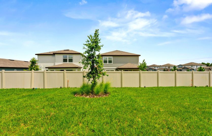 Spacious Backyard