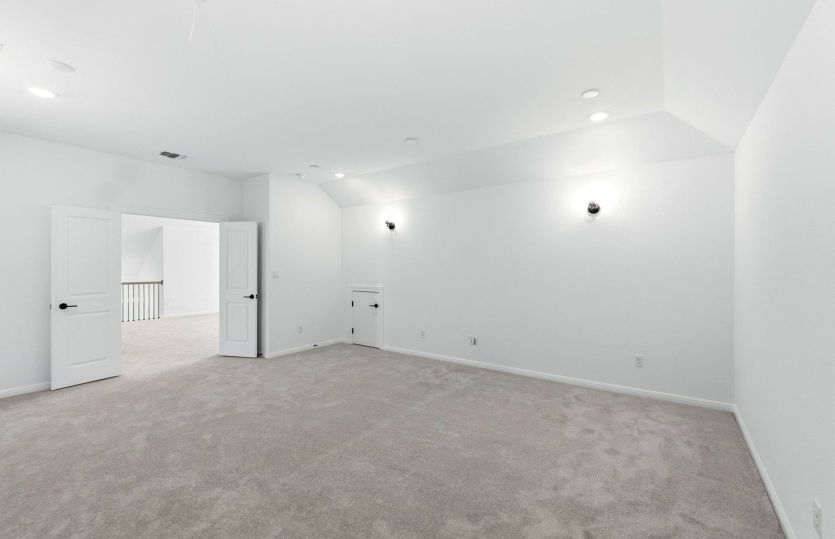 Representational Photo- Media Room