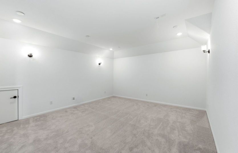 Representational Photo- Media Room