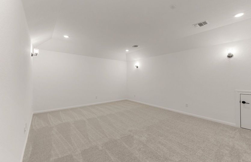 Representational Photo- Media Room