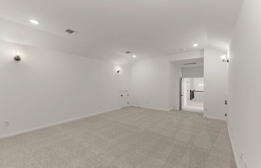 Representational Photo- Media Room