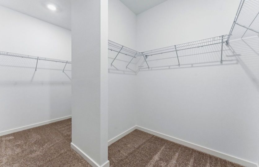 Owner's Walk-in Closet