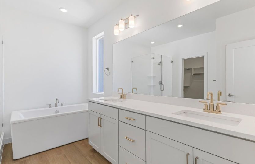 Owner's Dual Vanity