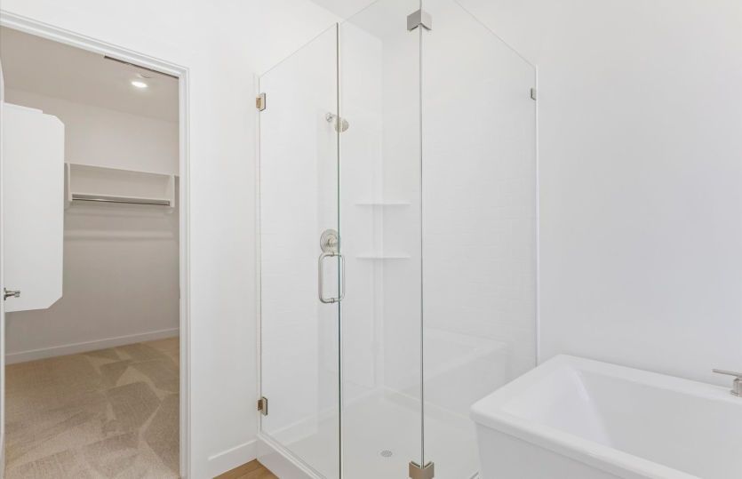 Owner's Separate Tub & Shower