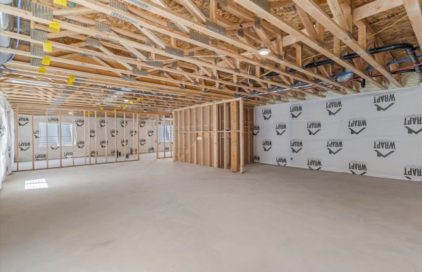 Room to Grow in the Unfinished Basement