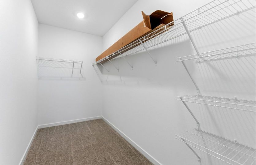 Owner's Walk-in Closet