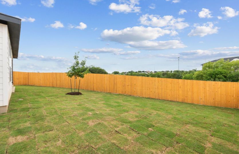 Backyard
