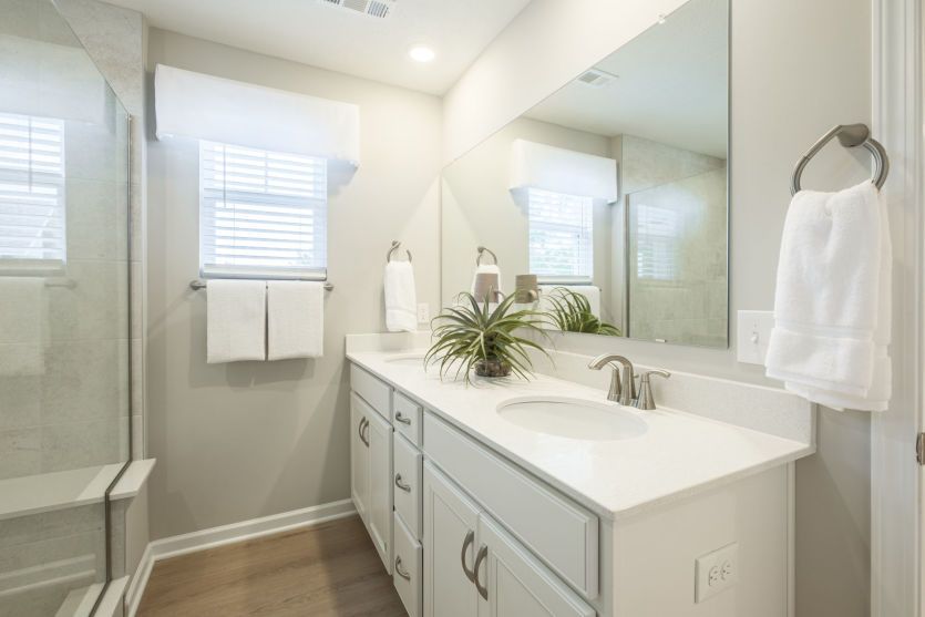 Spa Like Owner's Bath