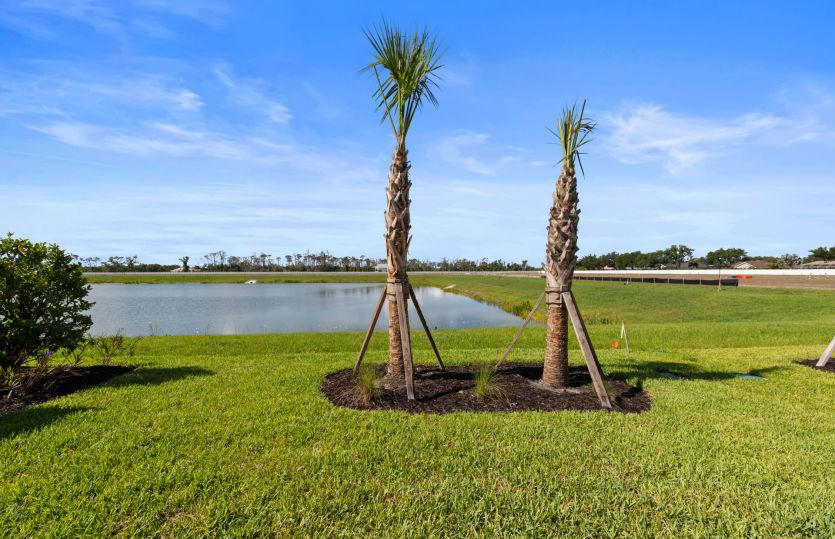 View from this home