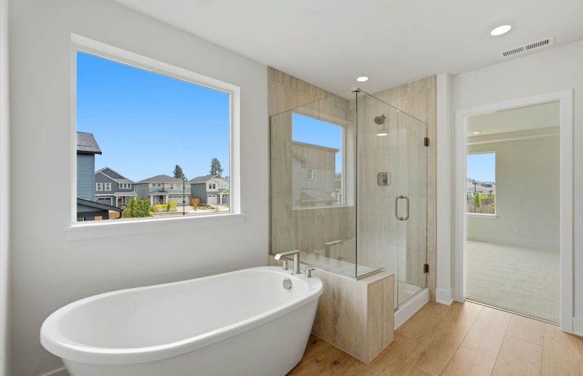 Luxurious Owner's Bath with Freestanding Tub