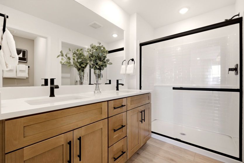 Owner's Bath