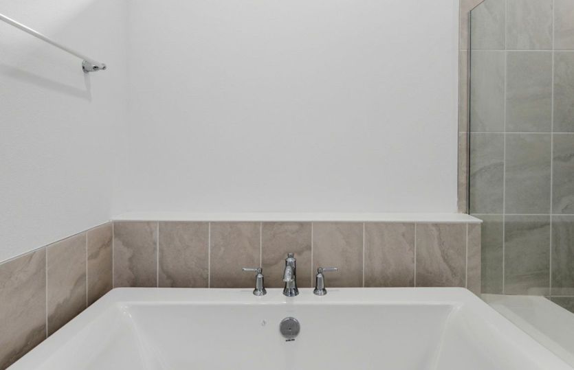 Owner's Tub